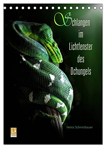 Schlangen im Lichtfenster des Dschungels (Tischkalender 2025 DIN A5 hoch), CALVENDO Monatskalender von CALVENDO