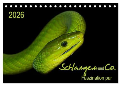 Schlangen und Co. - Faszination pur (Tischkalender 2026 DIN A5 quer), CALVENDO Monatskalender: Schlangen und Reptilien in ihrer ganzen Faszination (CALVENDO Tiere) von Calvendo