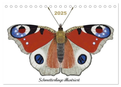 Schmetterlinge illustriert (Tischkalender 2025 DIN A5 quer), CALVENDO Monatskalender von CALVENDO