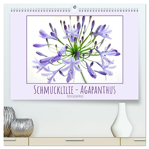 Schmucklilie - Agapanthus (hochwertiger Premium Wandkalender 2025 DIN A2 quer), Kunstdruck in Hochglanz von CALVENDO