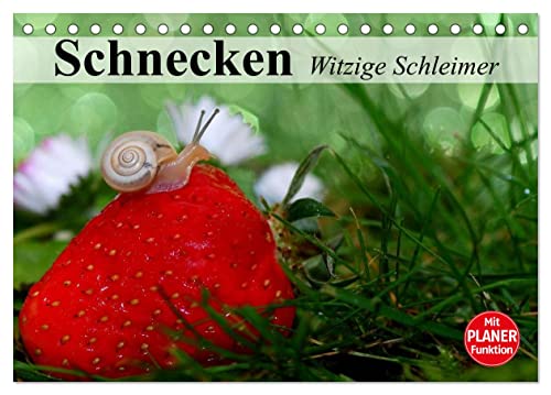 Schnecken. Witzige Schleimer (Tischkalender 2025 DIN A5 quer), CALVENDO Monatskalender von CALVENDO