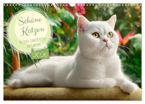 Schöne Katzen. Beliebte Samtpfoten im Garten (Wandkalender 2026 DIN A3 quer), CALVENDO Monatskalender von CALVENDO