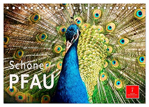 Schöner Pfau (Tischkalender 2025 DIN A5 quer), CALVENDO Monatskalender: Der Pfau – einer der ältesten Ziervögel der Menschen. (CALVENDO Tiere) von Calvendo