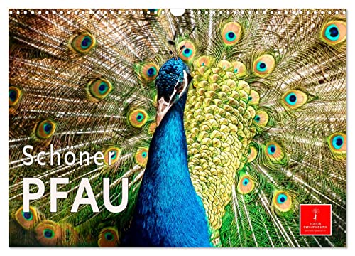 Schöner Pfau (Wandkalender 2025 DIN A3 quer), CALVENDO Monatskalender von CALVENDO