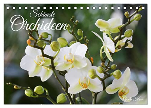 Schönste Orchideen (Tischkalender 2025 DIN A5 quer), CALVENDO Monatskalender von CALVENDO