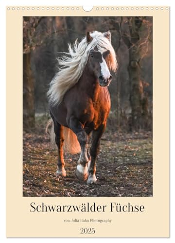 Schwarzwälder Füchse von Julia Hahn Photography (Wandkalender 2025 DIN A3 hoch), CALVENDO Monatskalender von CALVENDO