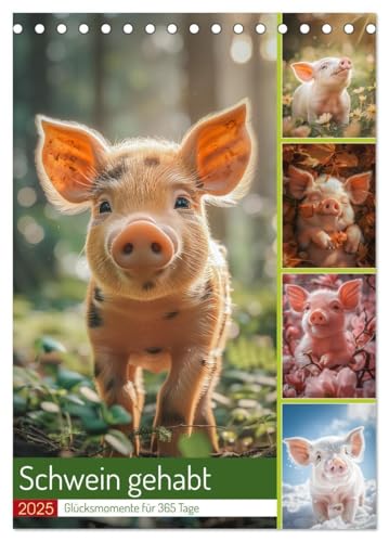 Schwein gehabt (Tischkalender 2025 DIN A5 hoch), CALVENDO Monatskalender: Lass dich täglich von den kleinen rosa Glücksbringern inspirieren und finde ... Tag einen Grund zum Lächeln. (CALVENDO Tiere) von CALVENDO