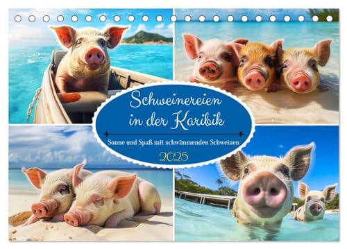 Schweinereien in der Karibik. Sonne und Spaß mit schwimmenden Schweinen (Tischkalender 2025 DIN A5 quer), CALVENDO Monatskalender von CALVENDO