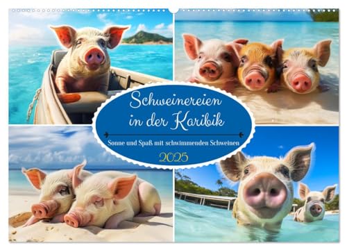 Schweinereien in der Karibik. Sonne und Spaß mit schwimmenden Schweinen (Wandkalender 2025 DIN A2 quer), CALVENDO Monatskalender von CALVENDO