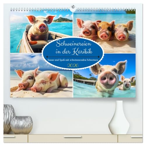 Schweinereien in der Karibik. Sonne und Spaß mit schwimmenden Schweinen (hochwertiger Premium Wandkalender 2026 DIN A2 quer), Kunstdruck in Hochglanz von CALVENDO