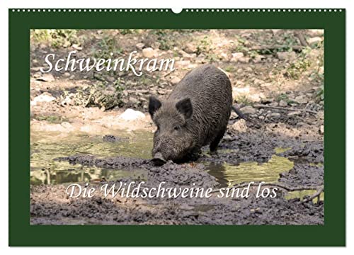 Schweinkram - Die Wildschweine sind los (Wandkalender 2025 DIN A2 quer), CALVENDO Monatskalender von CALVENDO