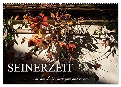 Seinerzeit (Wandkalender 2025 DIN A2 quer), CALVENDO Monatskalender von CALVENDO