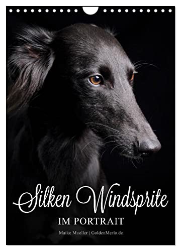 Silken Windsprite im Portrait (Wandkalender 2025 DIN A4 hoch), CALVENDO Monatskalender von CALVENDO