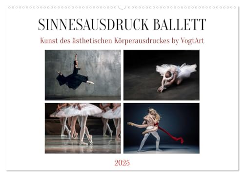 Sinneseindrücke Ballett (Wandkalender 2025 DIN A2 quer), CALVENDO Monatskalender von CALVENDO