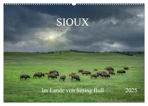 Sioux Im Lande von Sitting Bull (Wandkalender 2025 DIN A2 quer), CALVENDO Monatskalender von CALVENDO