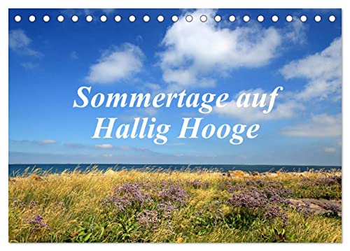 Sommertage auf Hallig Hooge (Tischkalender 2025 DIN A5 quer), CALVENDO Monatskalender von CALVENDO