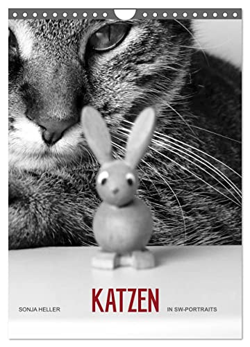 Sonja Heller Katzen in SW-Portraits (Wandkalender 2025 DIN A4 hoch), CALVENDO Monatskalender von CALVENDO