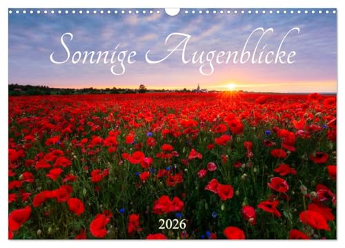 Sonnige Augenblicke (Wandkalender 2026 DIN A3 quer), CALVENDO Monatskalender von CALVENDO