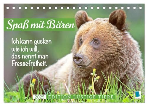 Spaß mit Bären: Edition lustige Tiere (Tischkalender 2025 DIN A5 quer), CALVENDO Monatskalender von CALVENDO