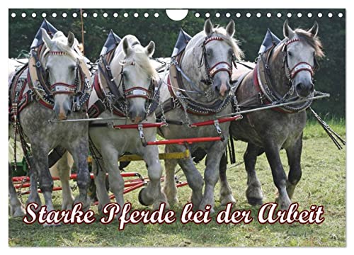 Starke Pferde bei der Arbeit (Wandkalender 2025 DIN A4 quer), CALVENDO Monatskalender von CALVENDO