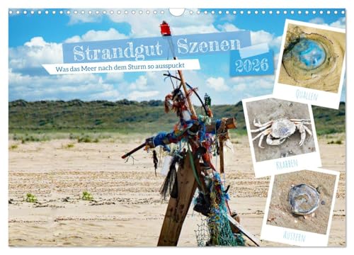 Strandgut Szenen (Wandkalender 2026 DIN A3 quer), CALVENDO Monatskalender von CALVENDO