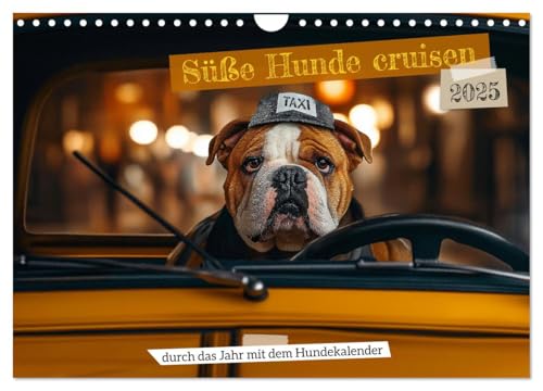 Süße Hunde cruisen - durch das Jahr mit dem Hundekalender (Wandkalender 2025 DIN A4 quer), CALVENDO Monatskalender von CALVENDO