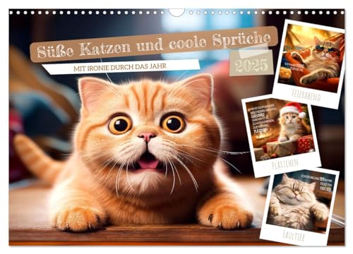 Süße Katzen und coole Sprüche (Wandkalender 2025 DIN A3 quer), CALVENDO Monatskalender von CALVENDO