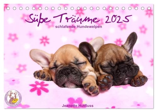 Süße Träume 2025 - schlafende Hundewelpen (Tischkalender 2025 DIN A5 quer), CALVENDO Monatskalender: träumen Sie mit ... (CALVENDO Tiere) von Calvendo