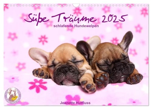 Süße Träume 2025 - schlafende Hundewelpen (Wandkalender 2025 DIN A3 quer), CALVENDO Monatskalender von CALVENDO