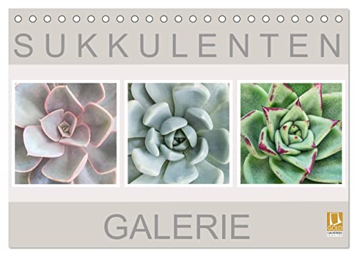 Sukkulenten Galerie (Tischkalender 2025 DIN A5 quer), CALVENDO Monatskalender von CALVENDO