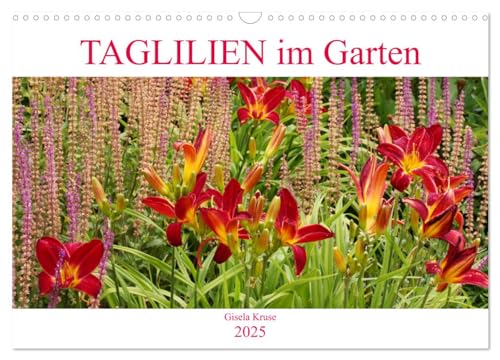 Taglilien im Garten (Wandkalender 2025 DIN A3 quer), CALVENDO Monatskalender von CALVENDO
