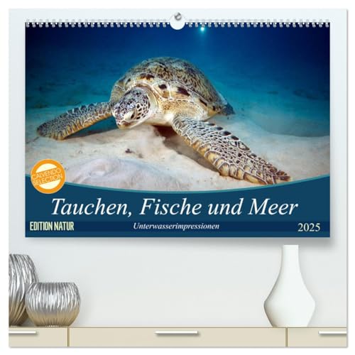 Tauchen, Fische und Meer (hochwertiger Premium Wandkalender 2025 DIN A2 quer), Kunstdruck in Hochglanz von CALVENDO