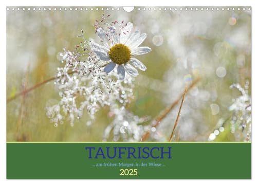 Taufrisch ... am frühen Morgen in der Wiese (Wandkalender 2025 DIN A3 quer), CALVENDO Monatskalender von CALVENDO