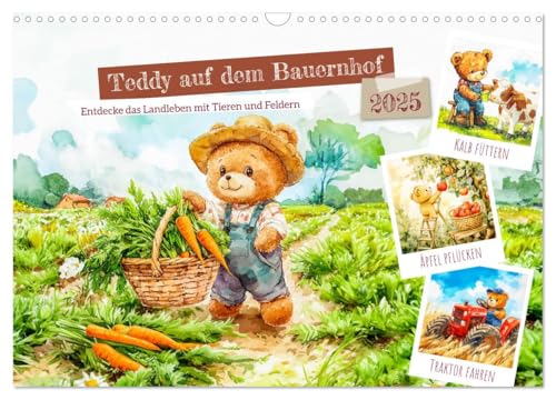 Teddy auf dem Bauernhof - Entdecke das Landleben mit Tieren und Feldern (Wandkalender 2025 DIN A3 quer), CALVENDO Monatskalender von CALVENDO
