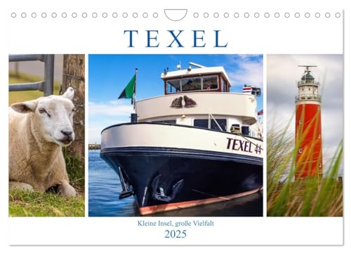 Texel - Kleine Insel, große Vielfalt (Wandkalender 2025 DIN A4 quer), CALVENDO Monatskalender von CALVENDO