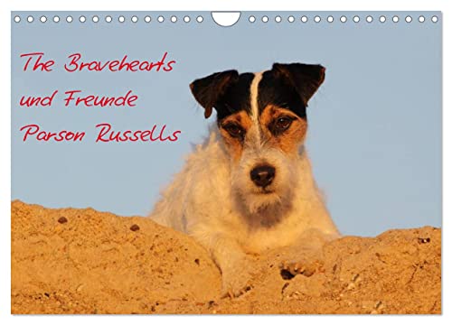 The Bravehearts und Freunde - Parson Russells (Wandkalender 2025 DIN A4 quer), CALVENDO Monatskalender von CALVENDO