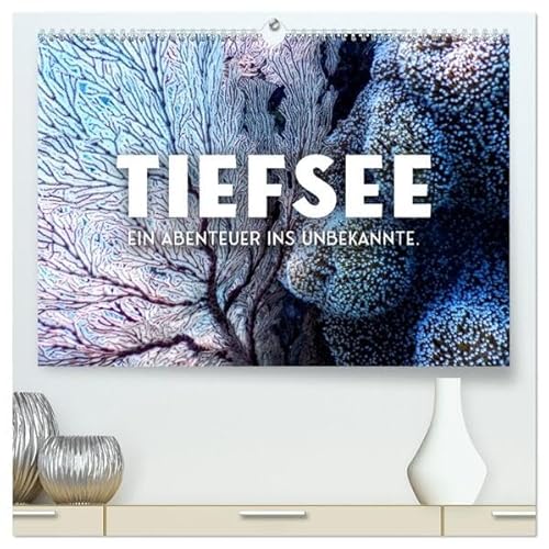 Tiefsee - Ein Abenteuer ins Unbekannte. (hochwertiger Premium Wandkalender 2026 DIN A2 quer), Kunstdruck in Hochglanz: Es gibt noch so viel zu entdecken. (CALVENDO Natur) von Calvendo