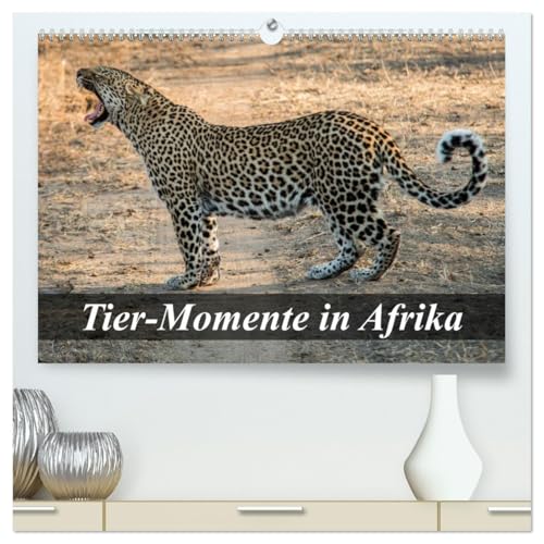 Tier-Momente in Afrika (hochwertiger Premium Wandkalender 2026 DIN A2 quer), Kunstdruck in Hochglanz: Afrikas wilde Tierwelt (CALVENDO Tiere) von Calvendo