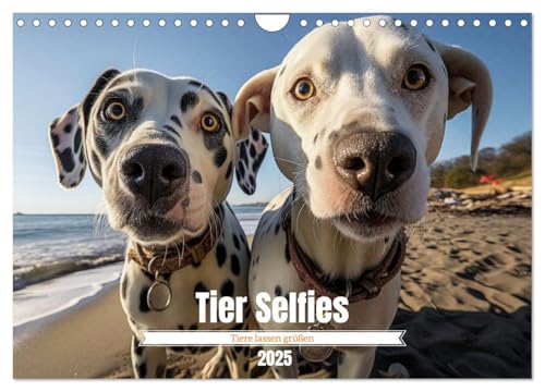 Tier Selfies (Wandkalender 2025 DIN A4 quer), CALVENDO Monatskalender von CALVENDO