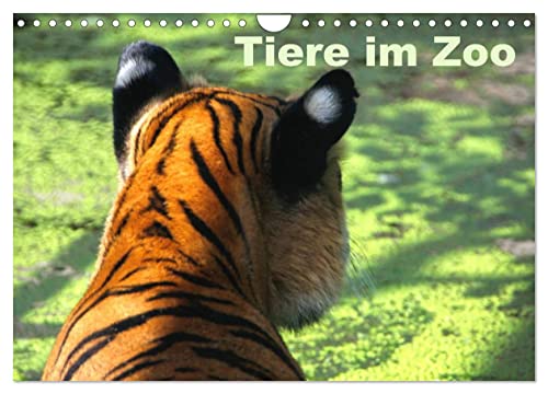 Tiere im Zoo (Wandkalender 2025 DIN A4 quer), CALVENDO Monatskalender von CALVENDO