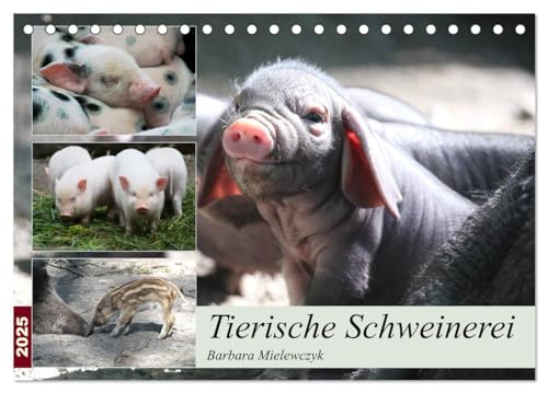 Tierische Schweinerei (Tischkalender 2025 DIN A5 quer), CALVENDO Monatskalender von CALVENDO