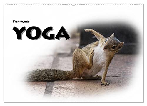 Tierisches Yoga (Wandkalender 2026 DIN A2 quer), CALVENDO Monatskalender von CALVENDO