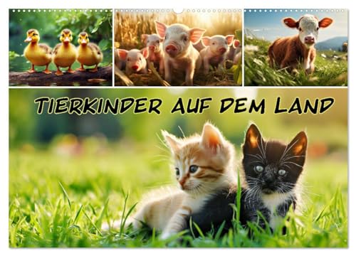 Tierkinder auf dem Land (Wandkalender 2025 DIN A2 quer), CALVENDO Monatskalender von CALVENDO