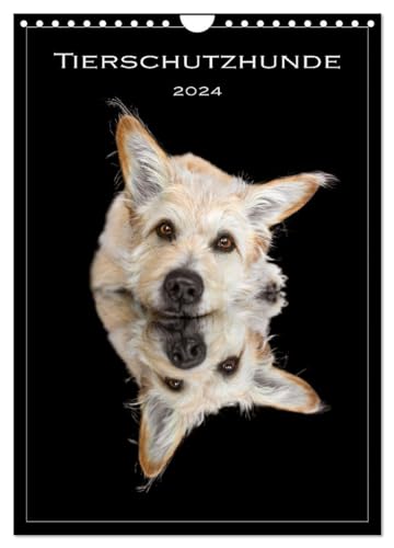 Tierschutzhunde (Wandkalender 2024 DIN A4 hoch), CALVENDO Monatskalender