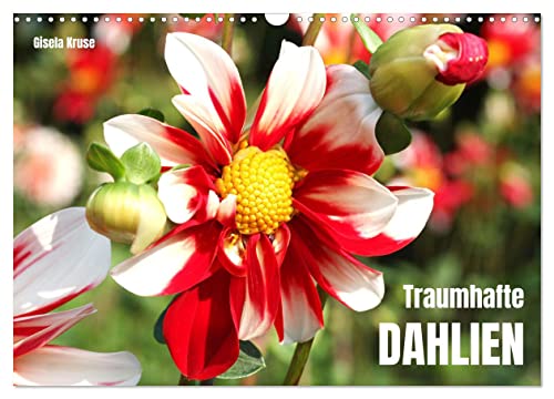 Traumhafte Dahlien (Wandkalender 2026 DIN A3 quer), CALVENDO Monatskalender von CALVENDO