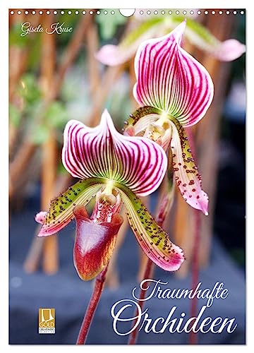 Traumhafte Orchideen (Wandkalender 2025 DIN A3 hoch), CALVENDO Monatskalender von CALVENDO