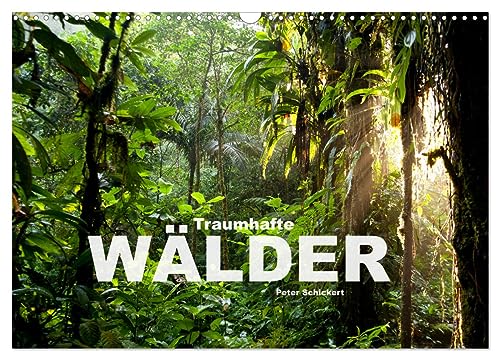 Traumhafte Wälder (Wandkalender 2025 DIN A3 quer), CALVENDO Monatskalender von CALVENDO