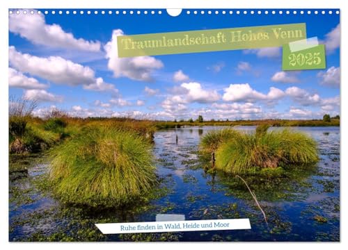 Traumlandschaft Hohes Venn (Wandkalender 2025 DIN A3 quer), CALVENDO Monatskalender von CALVENDO