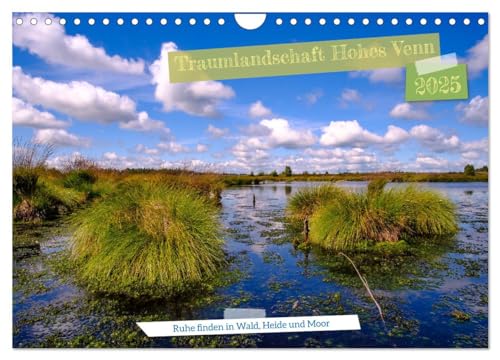 Traumlandschaft Hohes Venn (Wandkalender 2025 DIN A4 quer), CALVENDO Monatskalender von CALVENDO