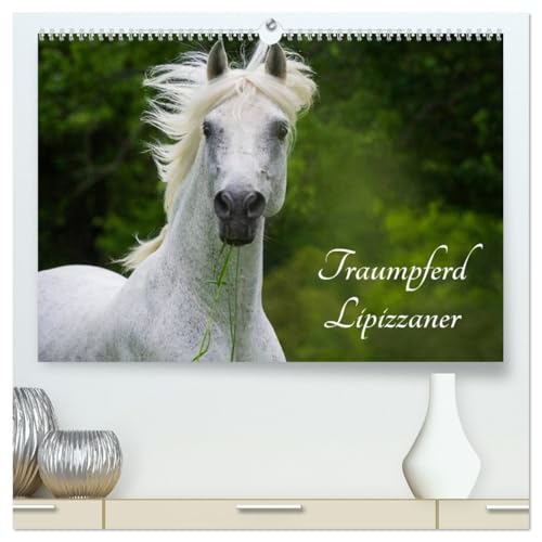 Traumpferd Lipizzaner (hochwertiger Premium Wandkalender 2026 DIN A2 quer), Kunstdruck in Hochglanz: Lipizzaner auf den Weiden der Rhön auf 12 traumhaften Bildern (CALVENDO Tiere) von Calvendo